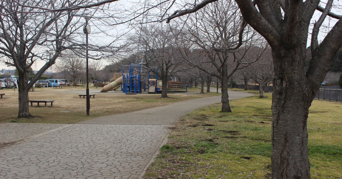 🏞️ 히키치가와 친수공원 (히키치가와 신스이코엔) 이미지 1